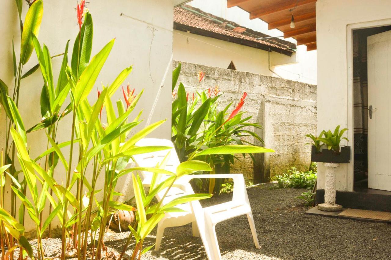 The Breeze Mirissa Bed and Breakfast Buitenkant foto