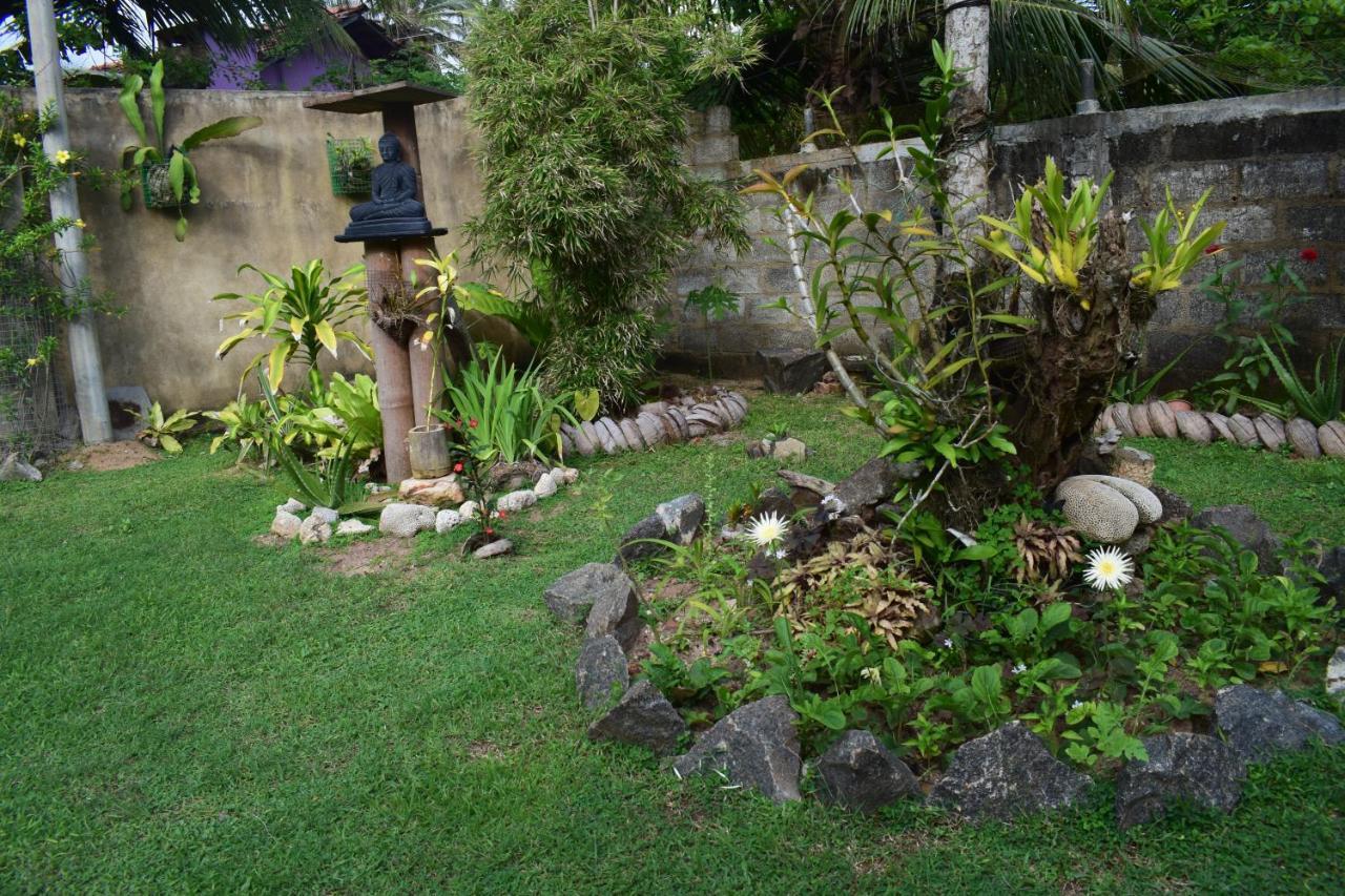 The Breeze Mirissa Bed and Breakfast Buitenkant foto